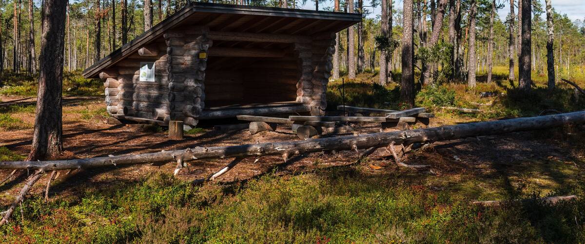 A rustic cabin in a forest.