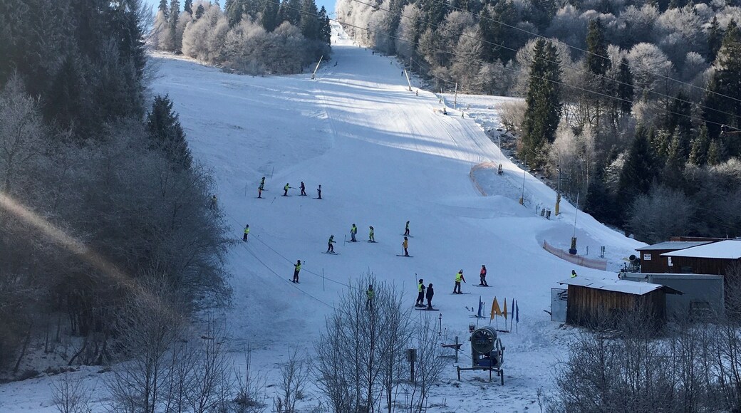 Skiing in Porac Park