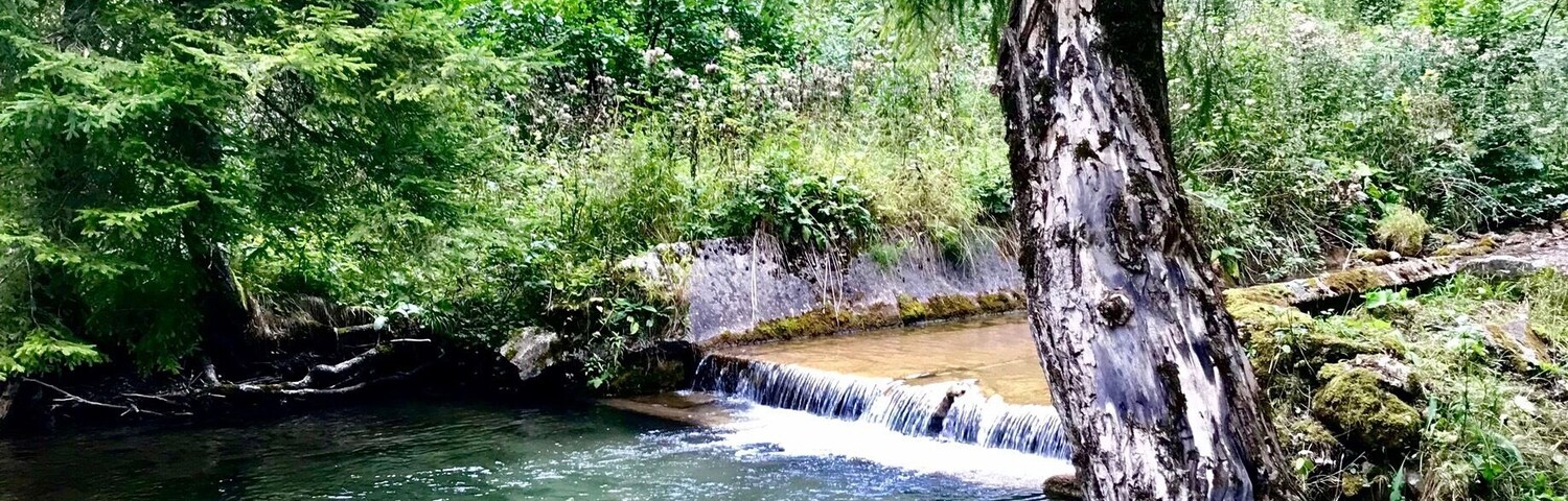 Necpalska dolina is 10 km long valley in Velka Fatra National park in Slovakia. You can walk or bike along and enjoy its beauty.