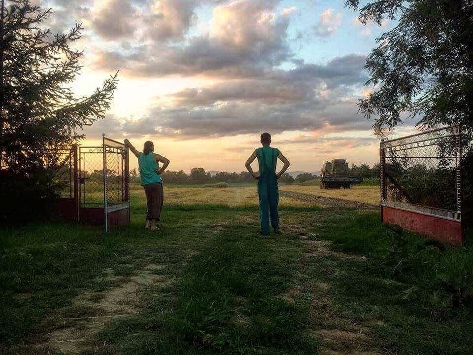 #harvesting at the #summer #evening. 