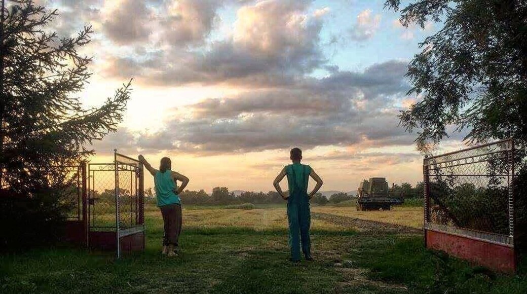 #harvesting at the #summer #evening.