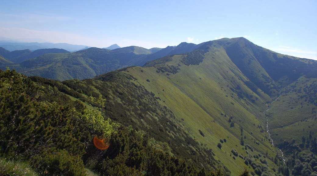 View from Stratenec (1513 m) looking east along the ridge to Malý Kriváň (1671 m)
#hiking #nature #nationalpark #greatoutdoors