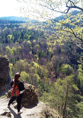 view