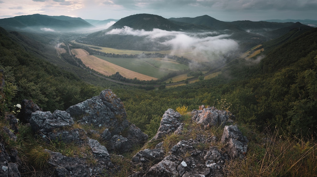 Jánošíkova bašta
This small rocky formation just 45 minutes from Kysak offers beautiful view on valley and river Hornád. This panorama was taken in summer after rain so low foggy clouds started to appear. I highly recommend visiting this location early in the morning at autumn to witness beautiful fall colours and maybe some inversions :)
#nature