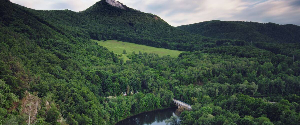 A river winding through a lush valley with dense forests and a mountain in the background.