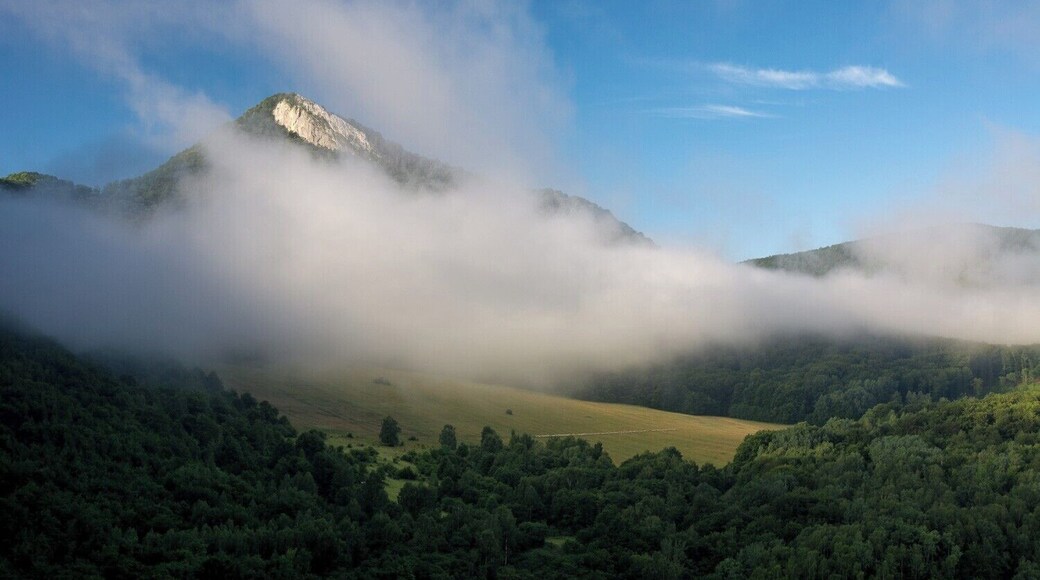 This photo was shot from location called Koลova skala (Horses rock). Theres an awesome view on water reservoir Ruzin and also Sivec which you can see at the photo.
I recommend you to visit this place at morning as the light hits the limestone of Sivec :)
#BvSApplication #BVSBlue