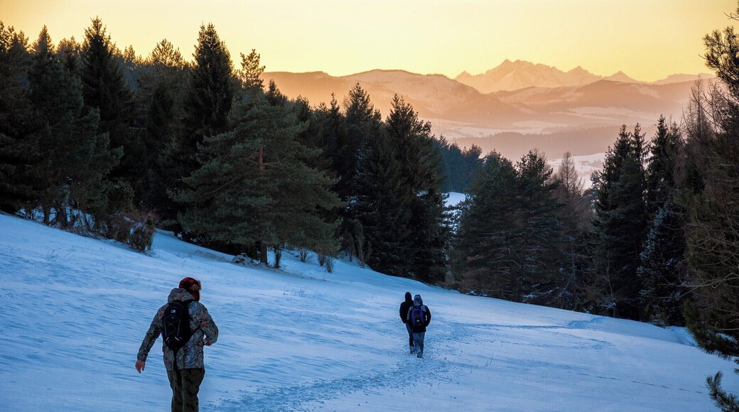 As we headed back to our cars from Mincol mntn I saw this. Sunset light hitting High Tatras as my friends walk on cold blue hiking route back home. I like this kind of contrast :)
#bvsblue