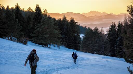 As we headed back to our cars from Mincol mntn I saw this. Sunset light hitting High Tatras as my friends walk on cold blue hiking route back home. I like this kind of contrast :)
#bvsblue