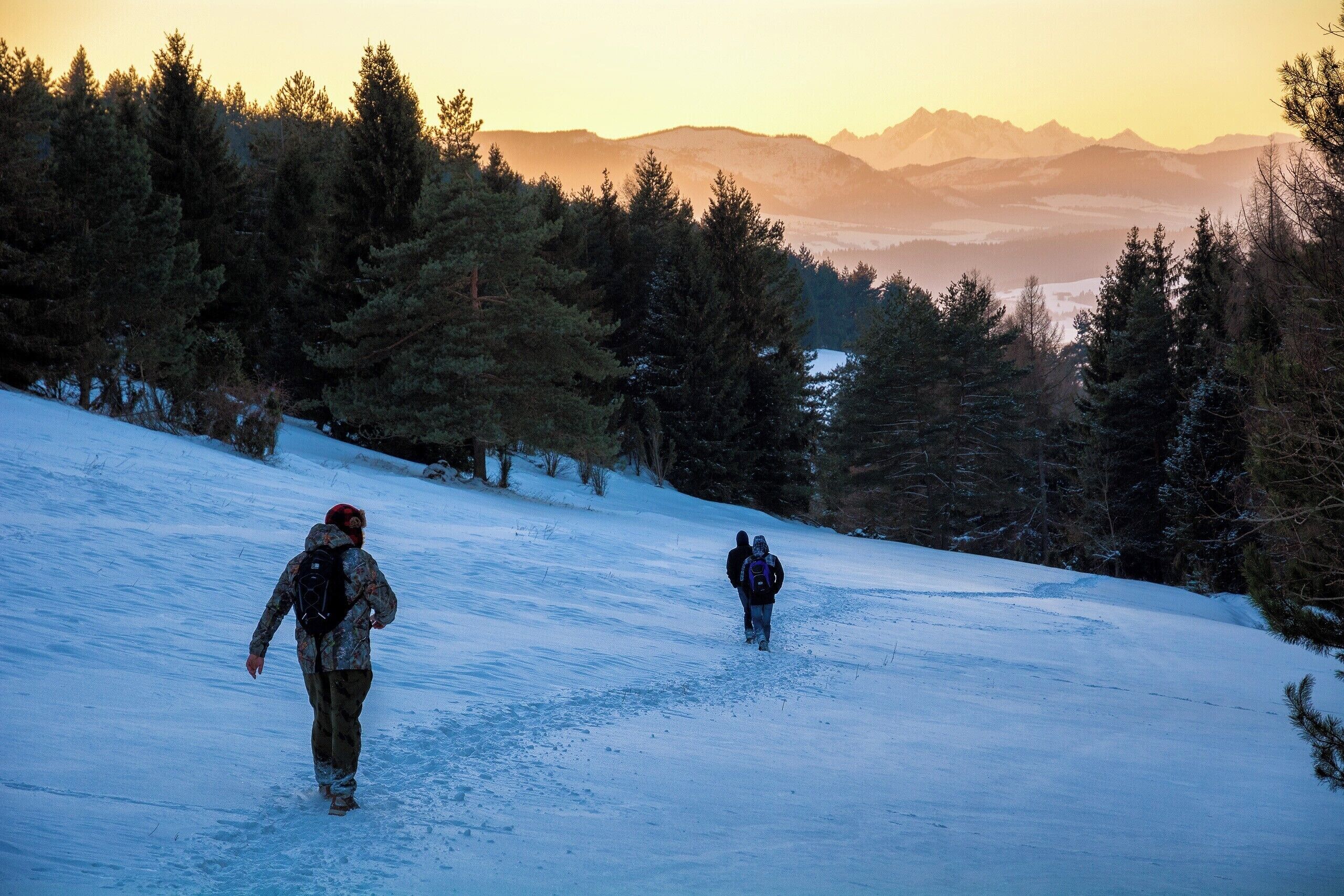 Two people hiking on a snowy mountain trail surrounded by evergreen trees.
