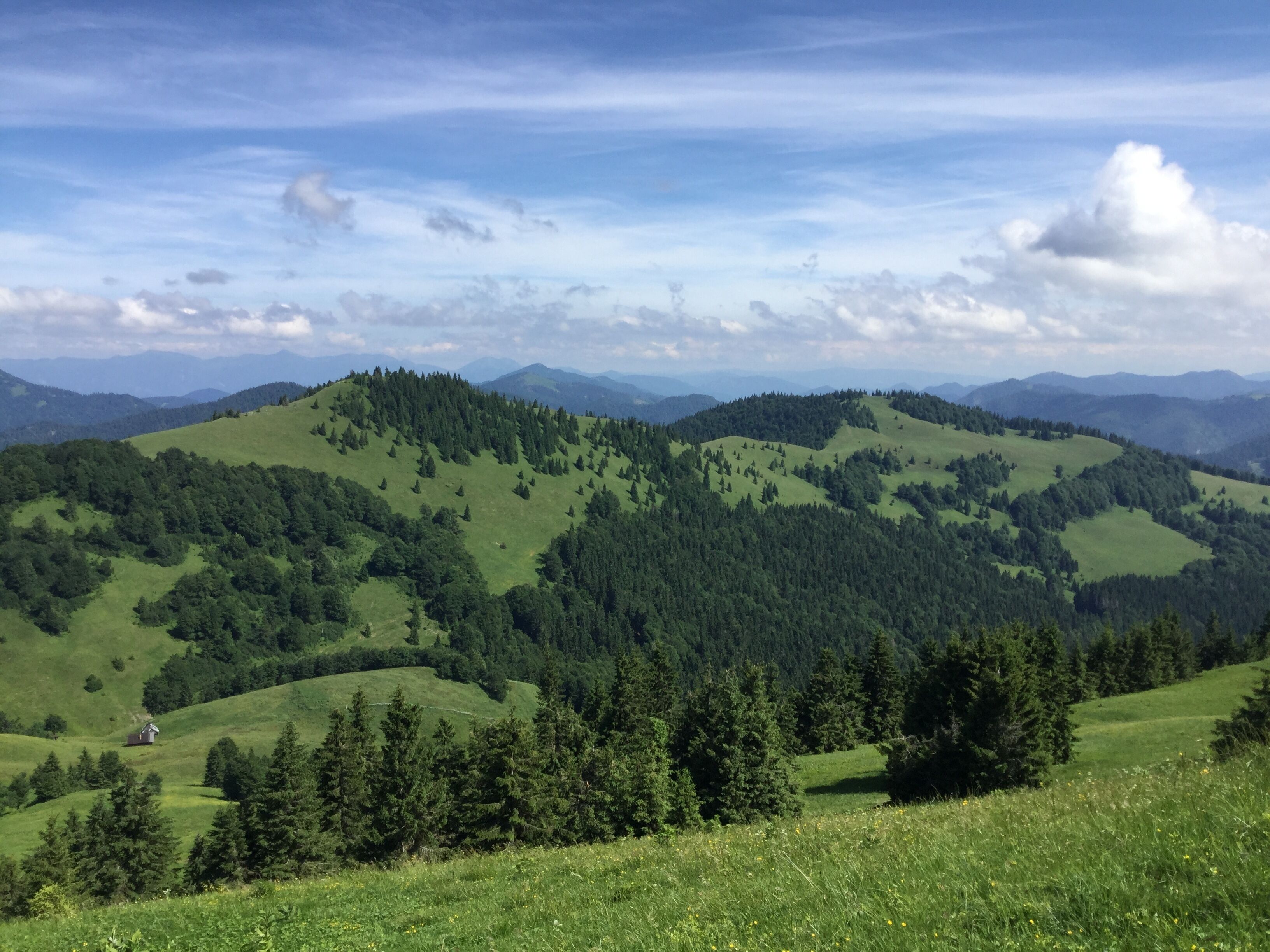 Rolling green hills with scattered trees and a clear blue sky.