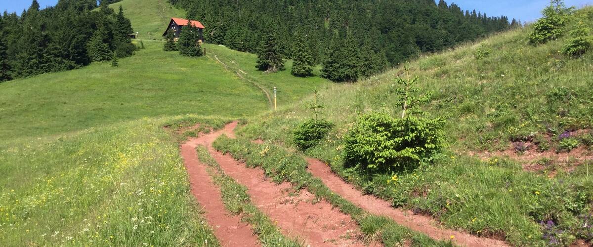 Hiking in Velka Fatra National Park, Slovakia. The cottage is Chata pod Borišovom, which lies under Borišov (1510 m).
#nationalpark #hiking #nature