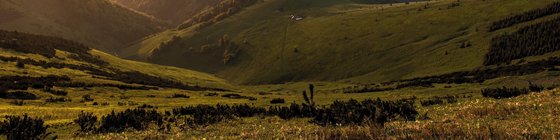I woke up at 3am and then I hiked for 2 hours up the hill just to reach this place in time for the sunrise. There are three main Slovak mountain ranges in this one picture and therefore it is my picture worth of #trovember
