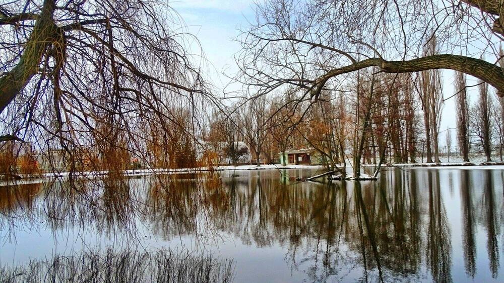 A calm lake surrounded by leafless trees and a small cabin in the distance.
