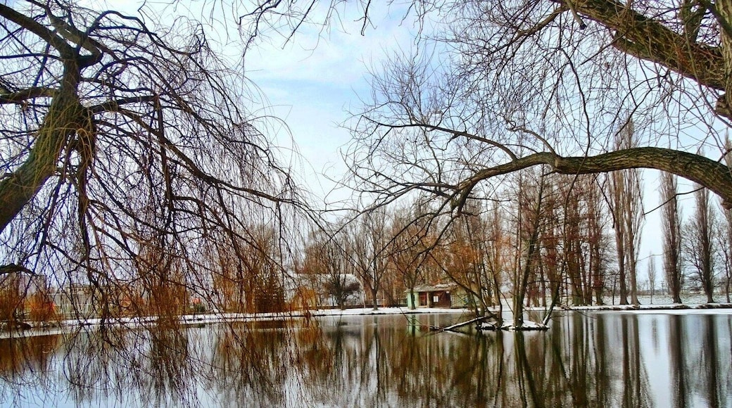 #EuroTrip2018
The winter wonderland - Nitra
A quaint little town in Slovakia, quite unpopular on the Traveller circuit, which could possibly explain , me being the first Indian to have checked into the beautiful and chick @nitrahostel
If you ever plan to head out to Nitra, don't forget to take a walk through the Mestsky park enroute the Nitra Castle. .
.
.
.
.
#EatTravelLiveRepeat #addictedtotravel #ETLRTravelDiaries2018 #slovakia #visitslovakia #visitnitra #travelwithETLR