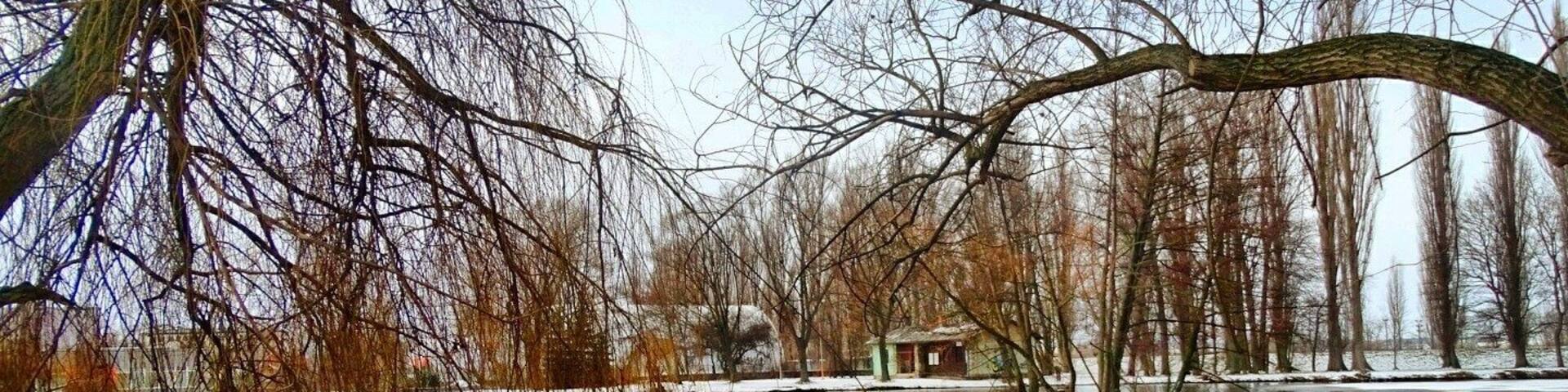 #EuroTrip2018
The winter wonderland - Nitra
A quaint little town in Slovakia, quite unpopular on the Traveller circuit, which could possibly explain , me being the first Indian to have checked into the beautiful and chick @nitrahostel
If you ever plan to head out to Nitra, don't forget to take a walk through the Mestsky park enroute the Nitra Castle. .
.
.
.
.
#EatTravelLiveRepeat #addictedtotravel #ETLRTravelDiaries2018 #slovakia #visitslovakia #visitnitra #travelwithETLR