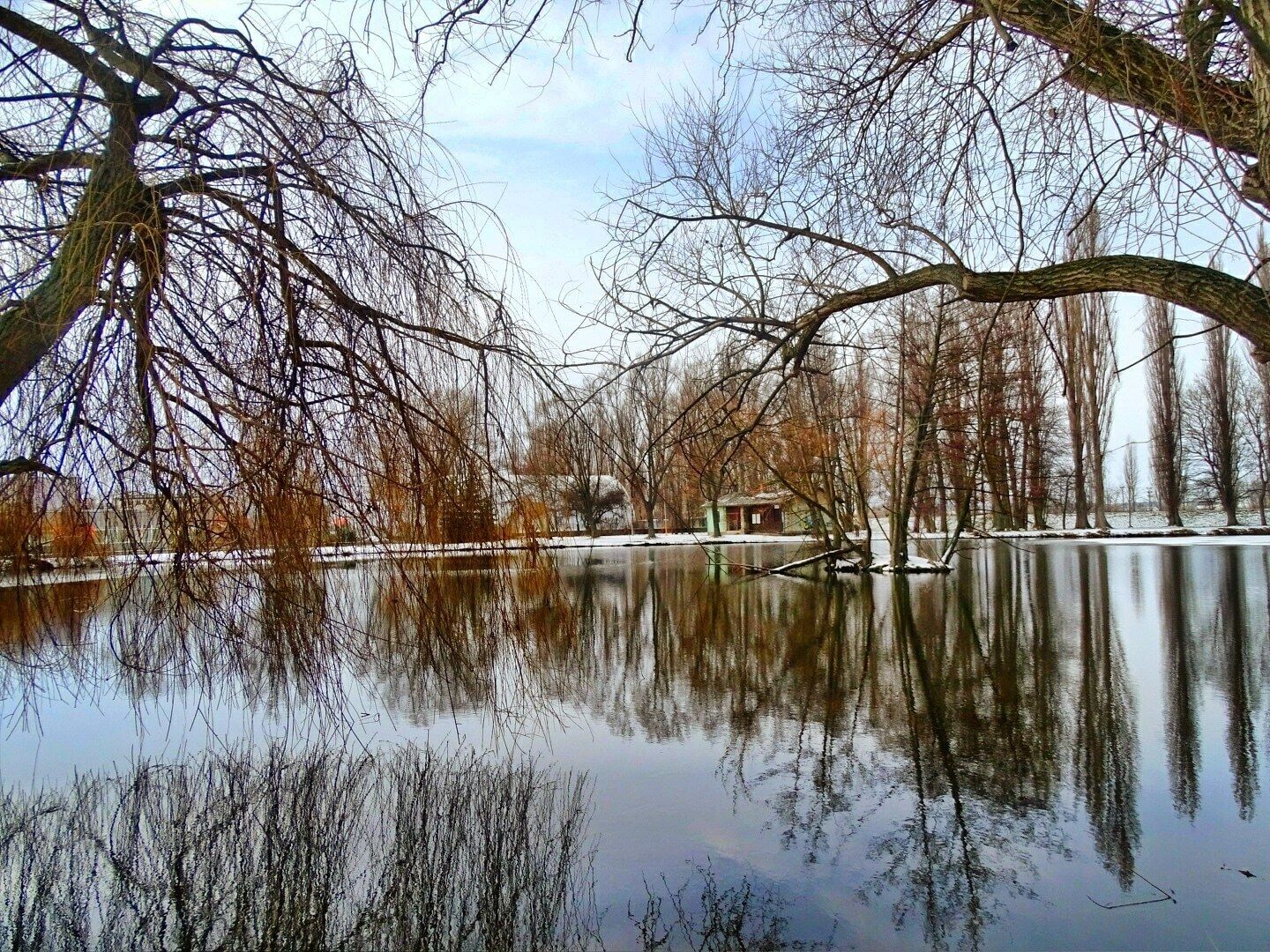 A calm lake surrounded by leafless trees and a small cabin in the distance.