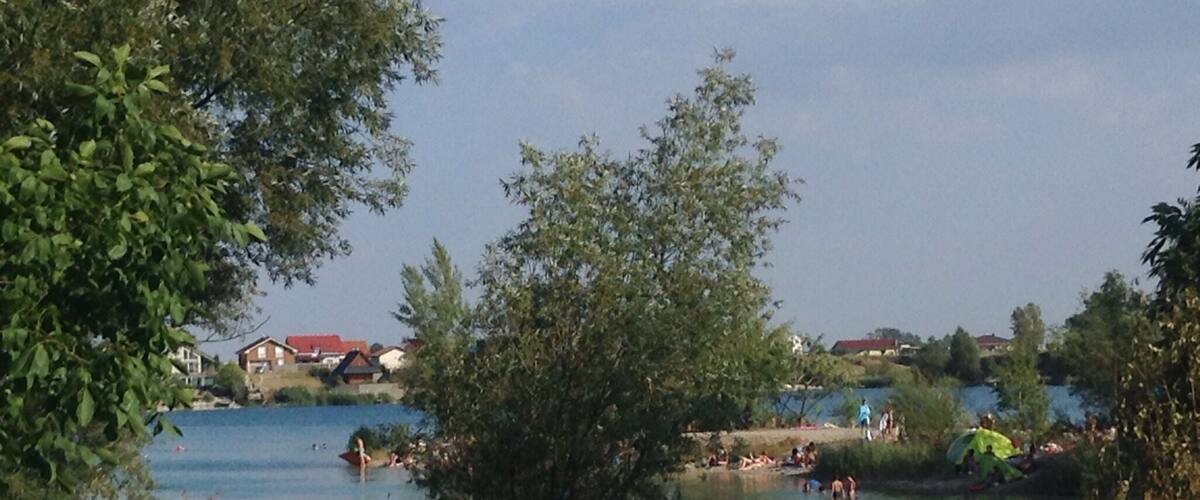 A lake surrounded by trees and houses.