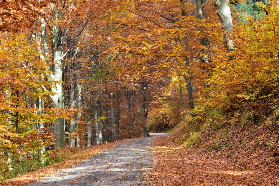 Walking on a country road.
#Adventure
#LifeAtExpediaGroup