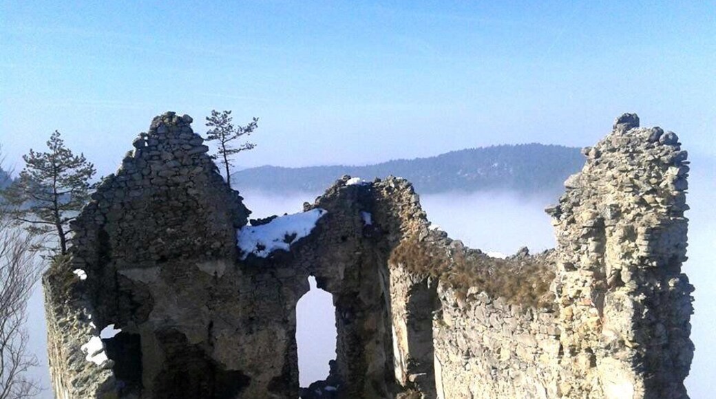 The Hričov castle
The first written reference to the Castle is from 1265. :)