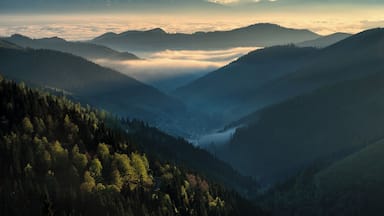 Inversion in the valley. One morning I decided to go on sunrise to Certovica in Low Tatras (Slovakia). I hiked up a small peak and found this amazing scenery, Low Tatras in the front, inversion in the middle, and High Tatras mountain range in the back.
#Adventure #nature #slovakia #travel #tatras #travel #inversion #landscape