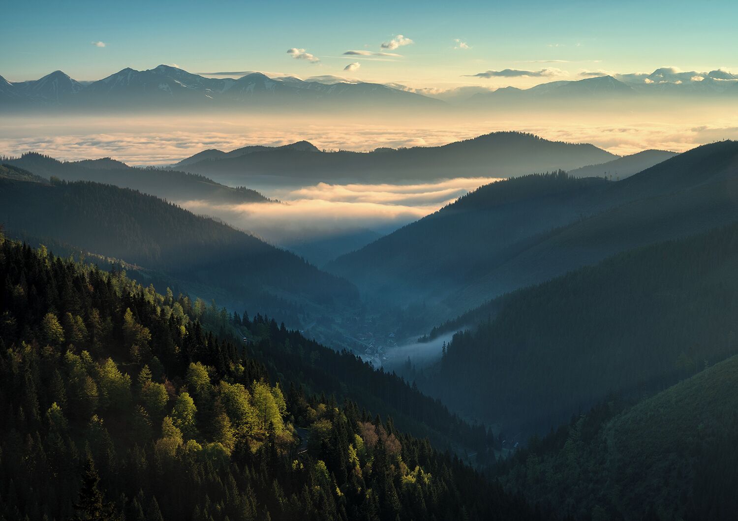 A valley with a forested mountain range and a layer of clouds above.