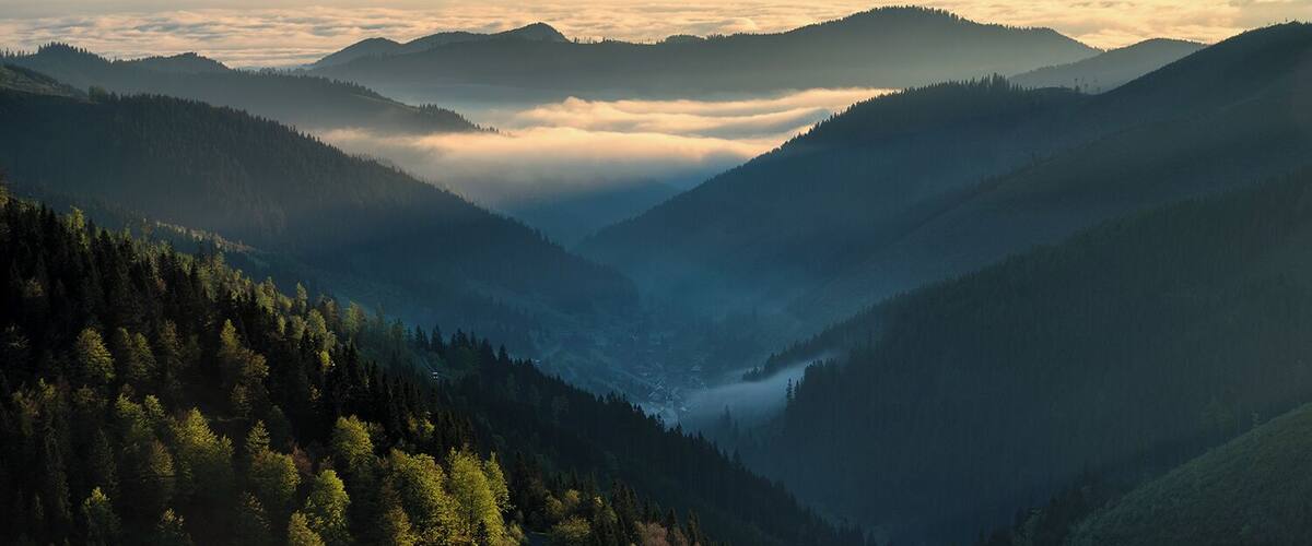 A valley with a forested mountain range and a layer of clouds above.