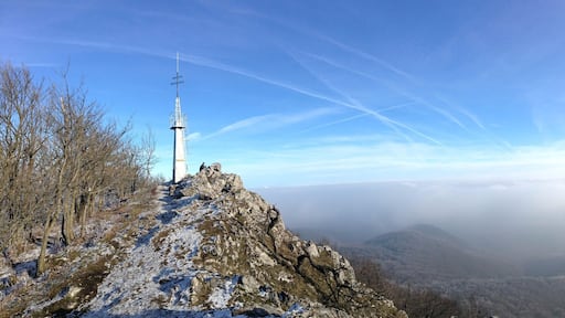 This obelisk marks the top of VĂĄpennĂĄ (RoĆĄtĂșn), which at 752 m, is the 3rd highest peak in the Little Carpathian Mountains, Western Slovakia. There are a couple of hiking trails to get here, either from SoloĆĄnica or PlaveckĂ© Podhradie. The hike through the clouds was worth it, with only a few other peaks visible. Will definitely be coming back here in the summer months!
#hiking #stefaniktrail #WinterWonders #malekarpaty #TakeAhike