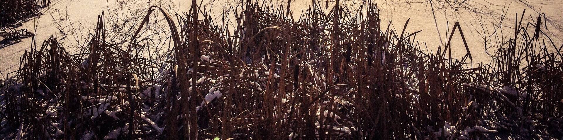Frozen lakes make the most amazing sounds when you skip stones on the ice. This one is in Eastern Slovakia.
#WinterWonders #lifeatexpedia