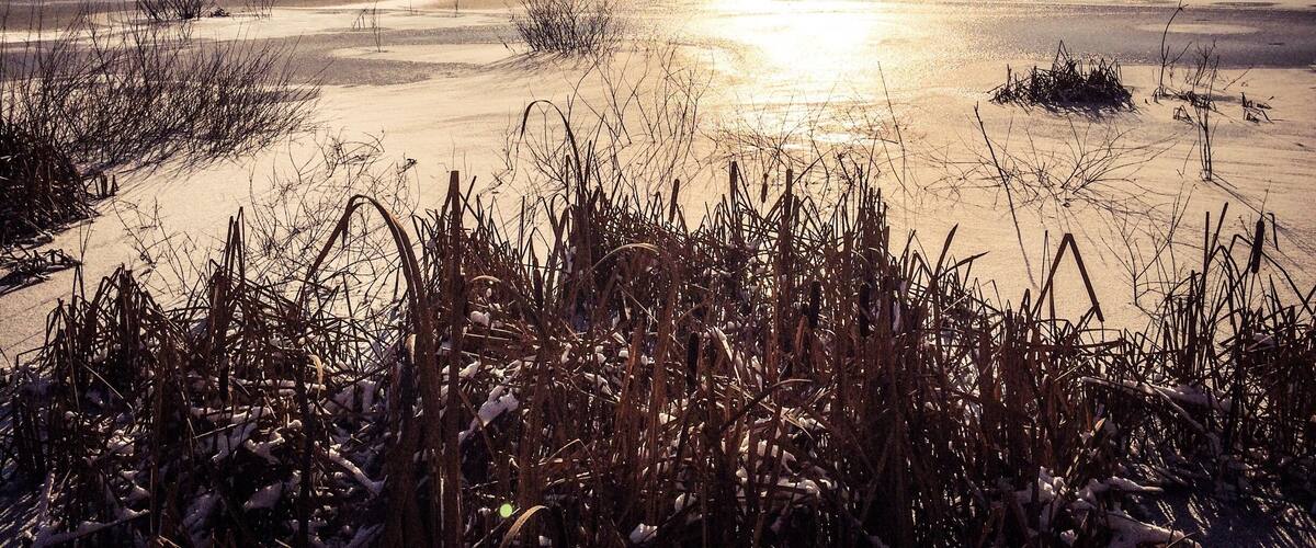 A frozen lake with reflections of the sun, surrounded by hills and sparse vegetation.