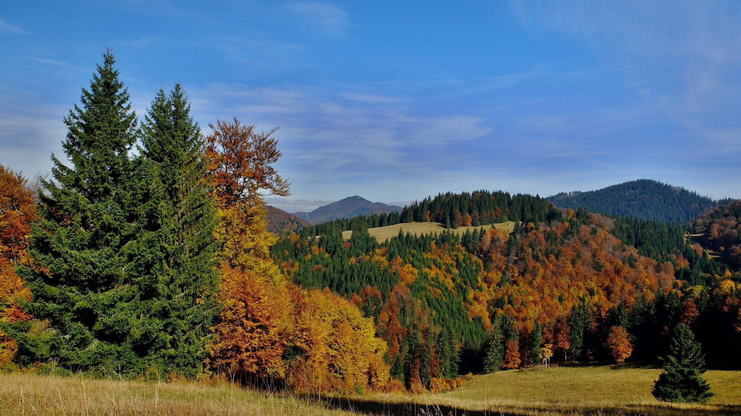 A mountainous landscape with autumn foliage, coniferous trees, and a clear blue sky.