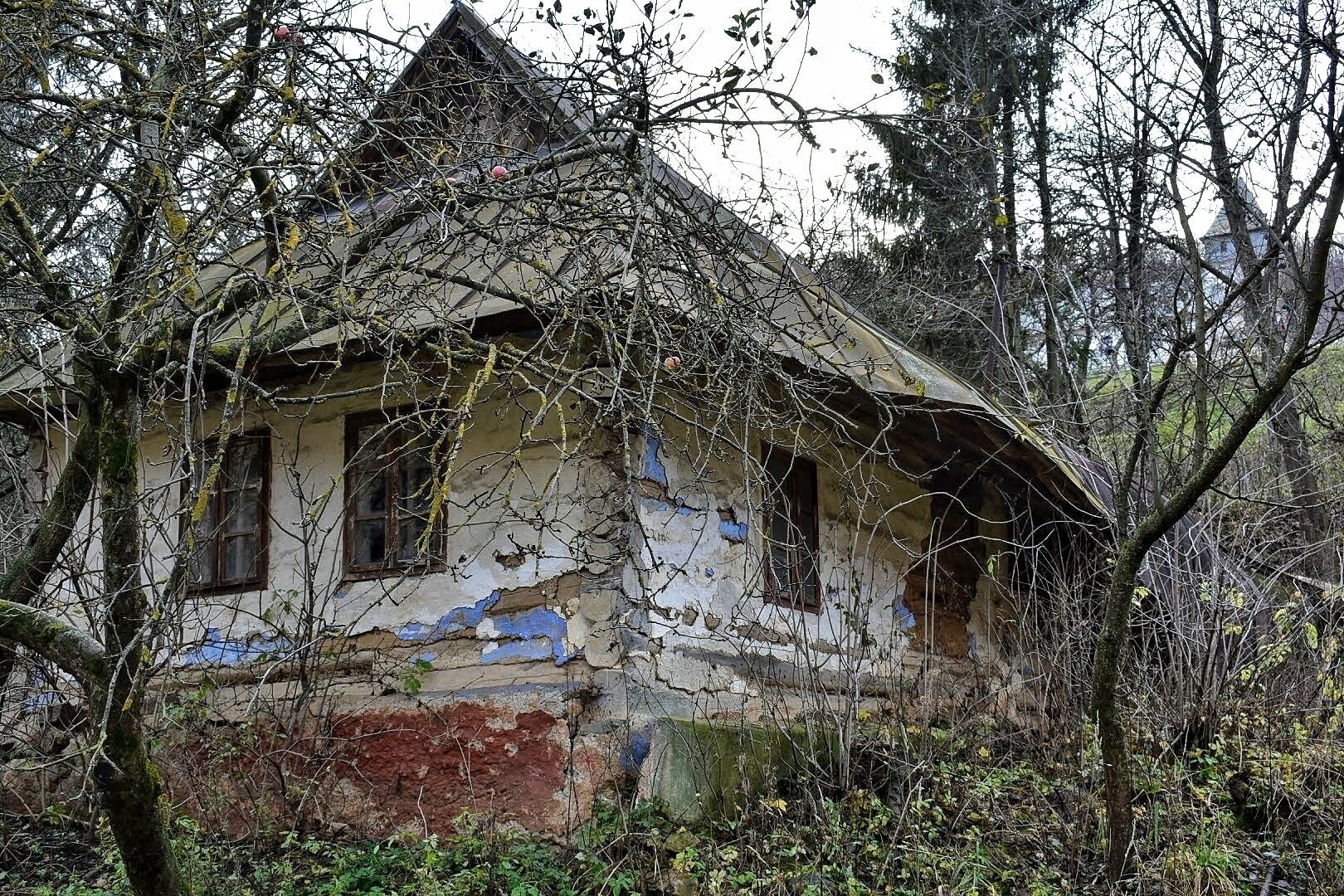 A dilapidated house surrounded by overgrown vegetation and trees.