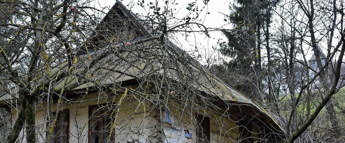 A dilapidated house surrounded by overgrown vegetation and trees.