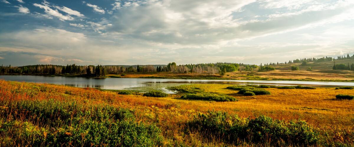 A lake surrounded by a forest and open fields.