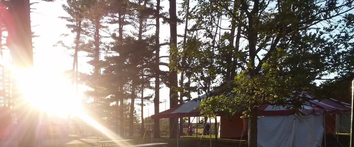 A grassy area with picnic tables and tents, surrounded by trees.