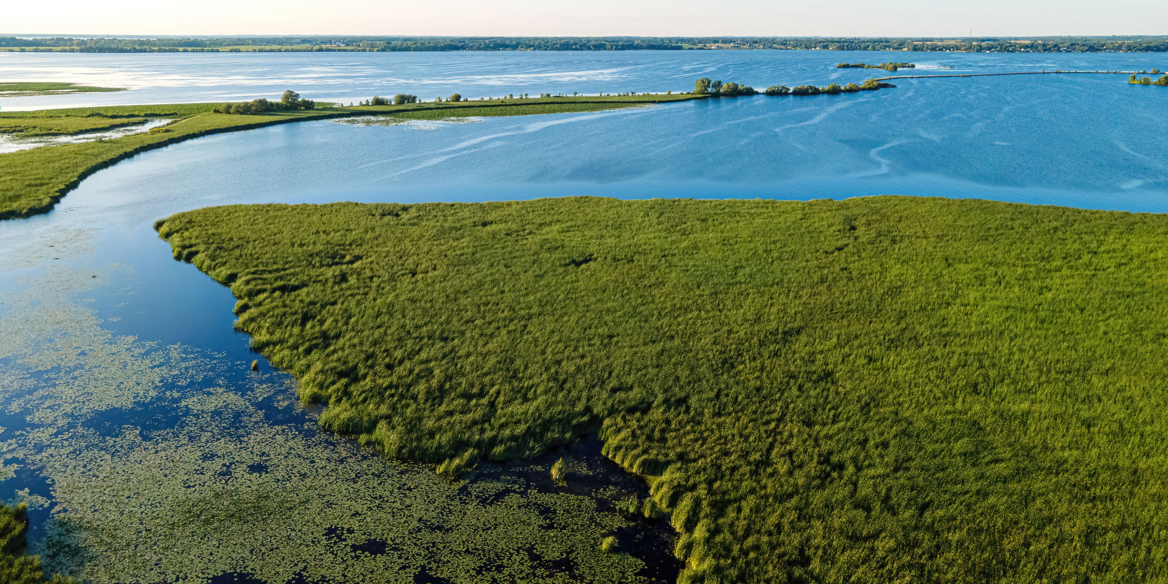 A river meandering through a lush green landscape with patches of water lilies.