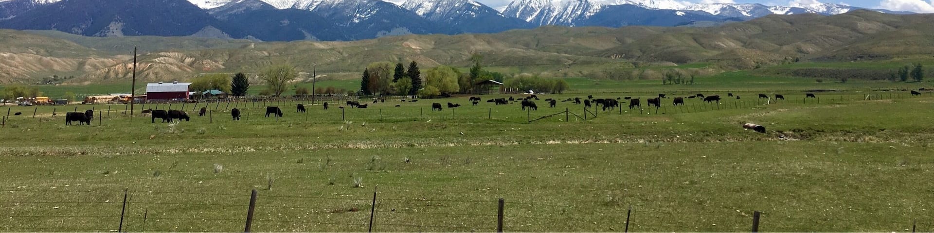 Did not know that Idaho had such a diverse landscape.
#Idaho #mountains
(May 2017)