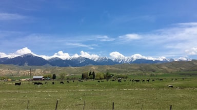 Did not know that Idaho had such a diverse landscape.
#Idaho #mountains
(May 2017)