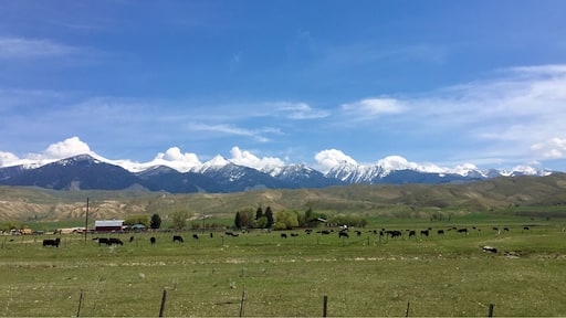 Did not know that Idaho had such a diverse landscape.
#Idaho #mountains
(May 2017)