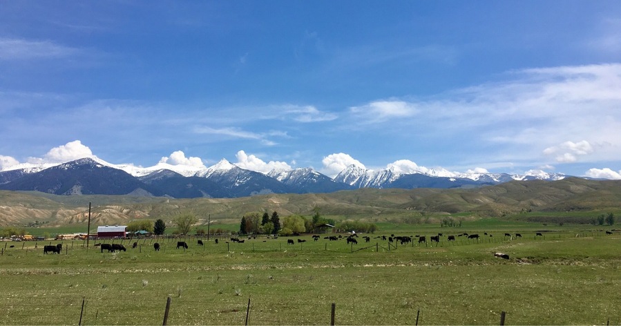 Did not know that Idaho had such a diverse landscape.
#Idaho #mountains
(May 2017)