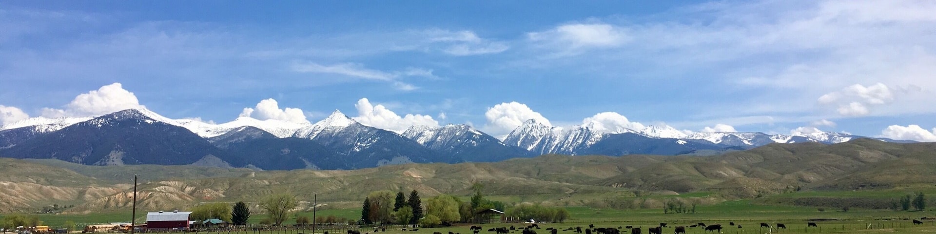 Did not know that Idaho had such a diverse landscape. 
#Idaho #mountains
(May 2017)