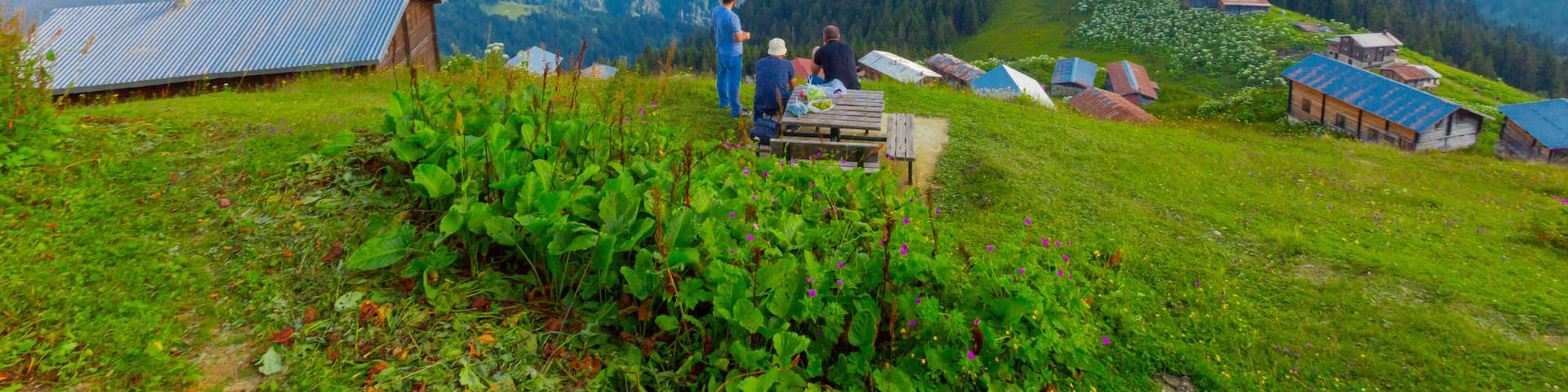 Pokut Plateau Rize Camlihemsin Turkey