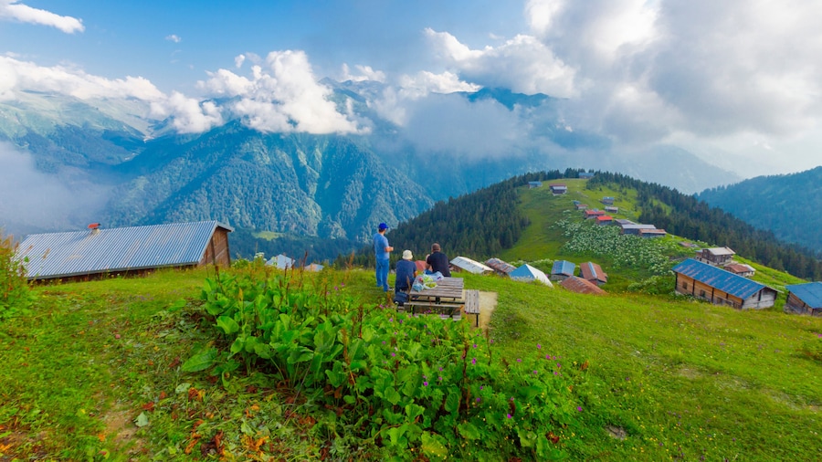 Pokut Plateau Rize Camlihemsin Turkey
