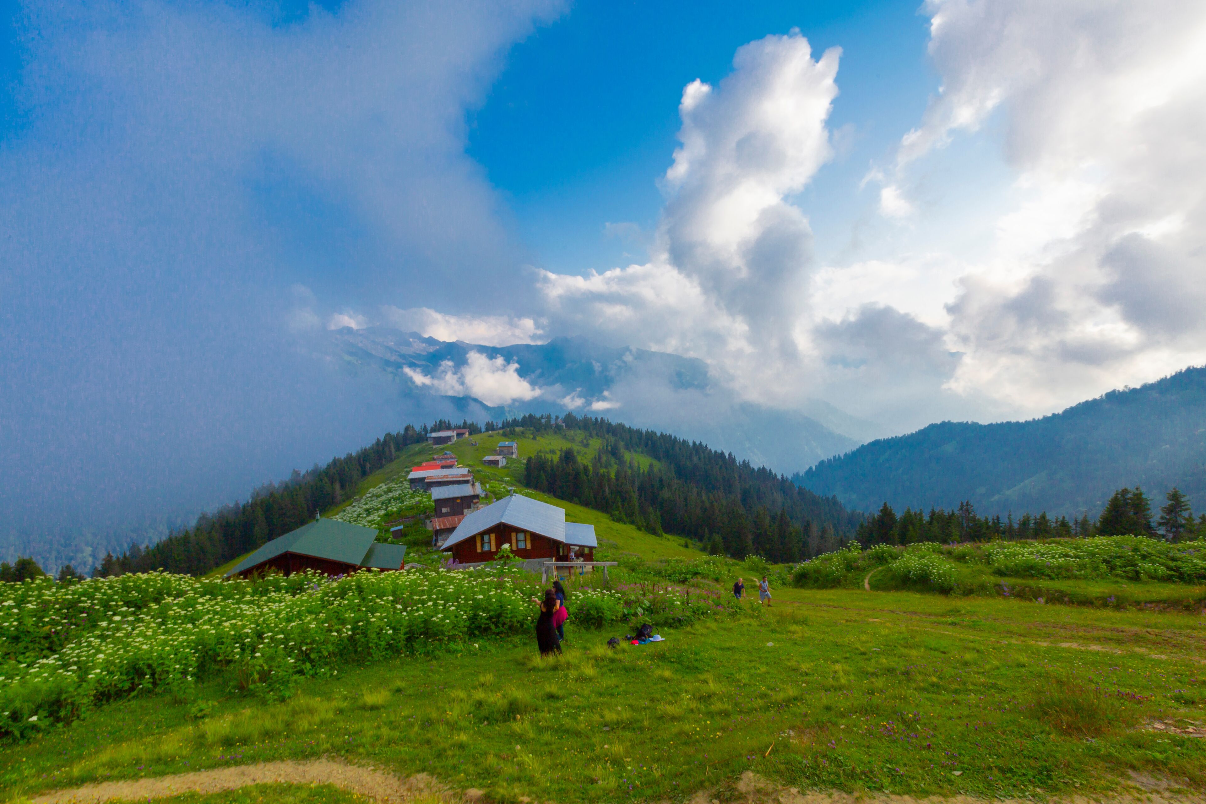 Cao nguyên Pokut