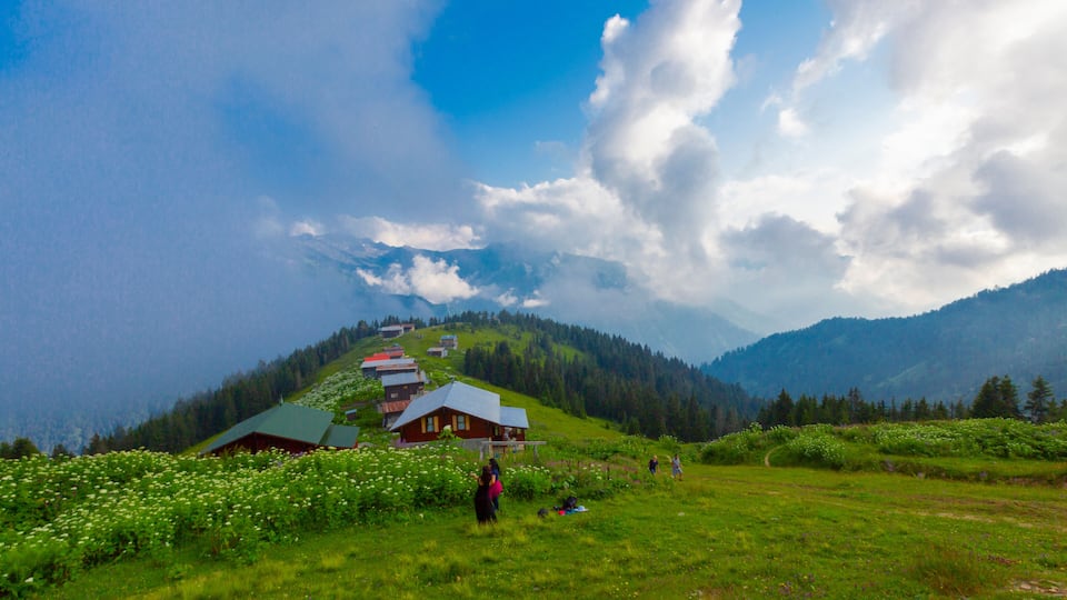 A mountainous landscape with a cluster of red-roofed buildings, a clear blue sky, and a meadow with white flowers.