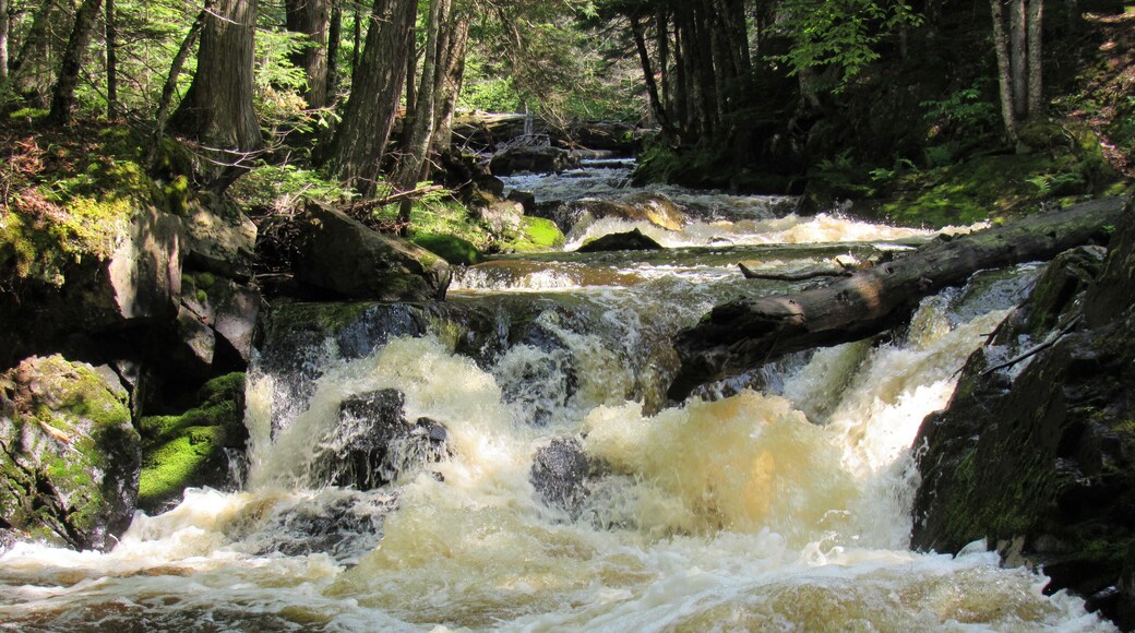 Worth going off the beaten path to find this neat little falls.