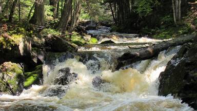 Worth going off the beaten path to find this neat little falls.