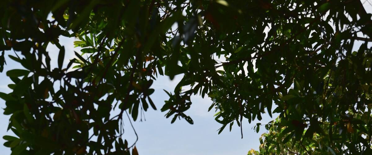 Zhaoyang National Trail is located on the hills of Guishan in Nan'ao, Yilan County; Guishan is an independent hill on the south side of Chaoyang Community. It faces the east coast of Huahua in the eas