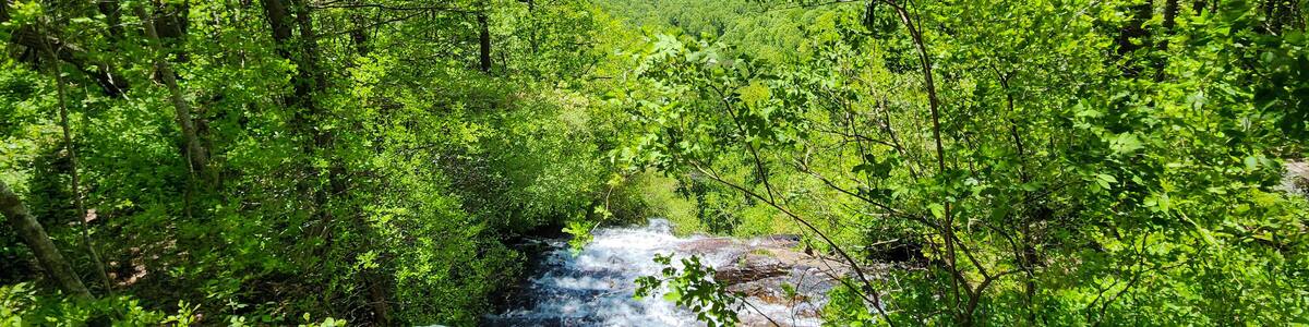 a gorgeous spring landscape with a flowing waterfall and rocks, lush green trees, grass and plants at Amicalola Falls State Park in Dawsonville Georgia USA.