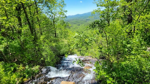 a gorgeous spring landscape with a flowing waterfall and rocks, lush green trees, grass and plants at Amicalola Falls State Park in Dawsonville Georgia USA.