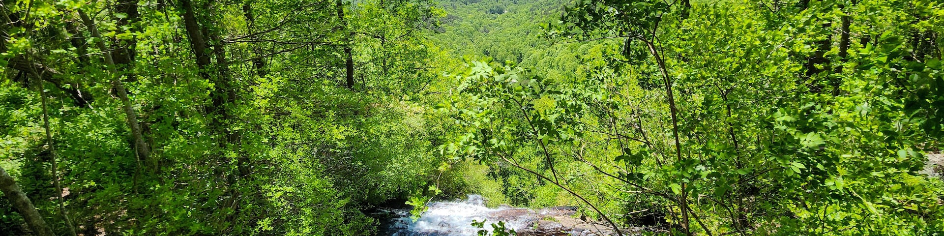 a gorgeous spring landscape with a flowing waterfall and rocks, lush green trees, grass and plants at Amicalola Falls State Park in Dawsonville Georgia USA.
